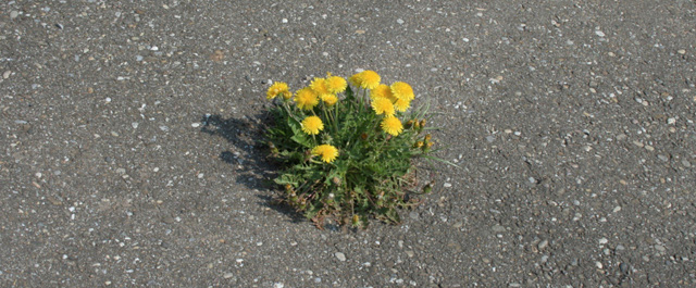Claudia-Richter-08.jpg