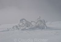 Winter auf dem Belchen