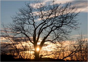 Claudia Richter, Karte, Geburtstag, Jahreswechsel, Baum, Geduld,