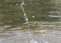 Wasserballett 2