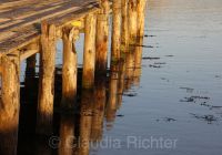 goldener Anleger