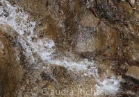 Splash 1