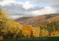 Herbst in der Eifel 2