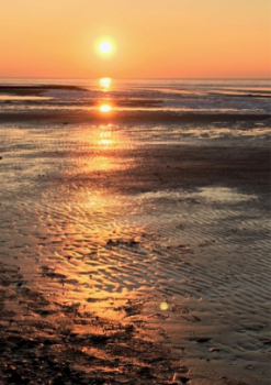 Claudia Richter, Karte, Trauer