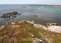 Küste in Norwegen 1