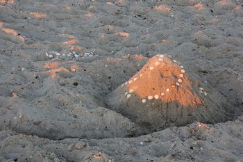 Claudia Richter, Urlaub, Ferien, Freizeit, Strand, Meer, Entspannung, Kinder, Spiel, Luft, Muscheln, Sand, Abendsonne