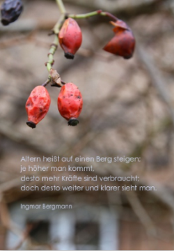 Claudia Richter, Karte, Geburtstag, Jahreswechsel, Geduld