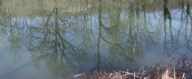 bild-003.jpg